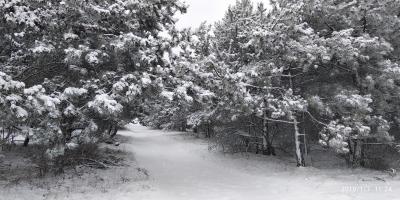 Прикрепленное изображение: IMG_20190107_112447.jpg